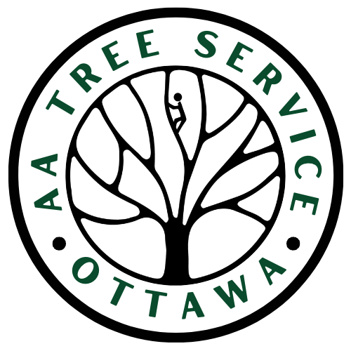 Home, AA Tree Service
