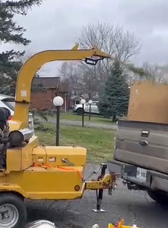 A truck is loaded with wood chips that have been produced by a commercial wood chipper.